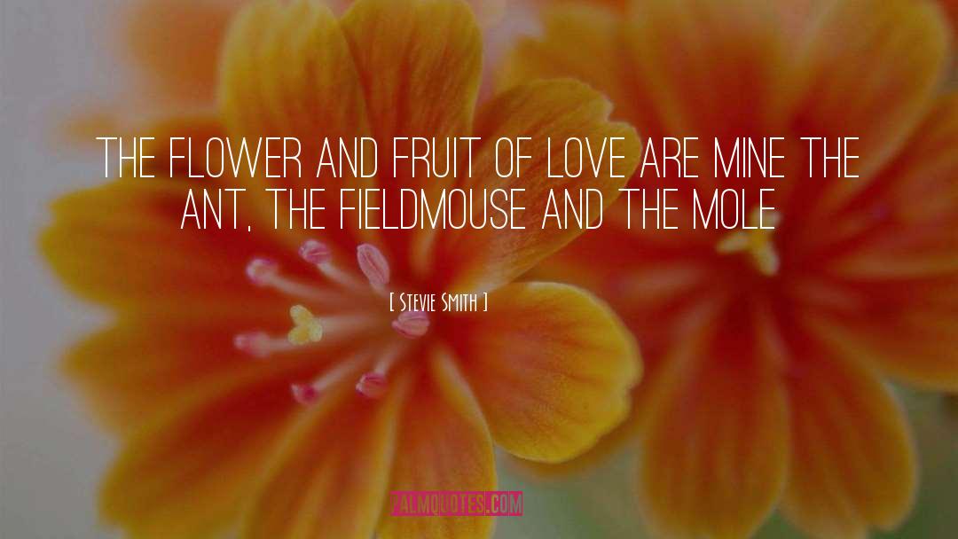 Maysa Love quotes by Stevie Smith