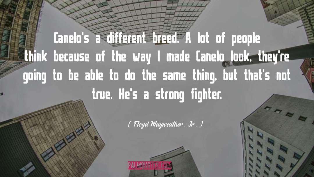 Mayweather quotes by Floyd Mayweather, Jr.