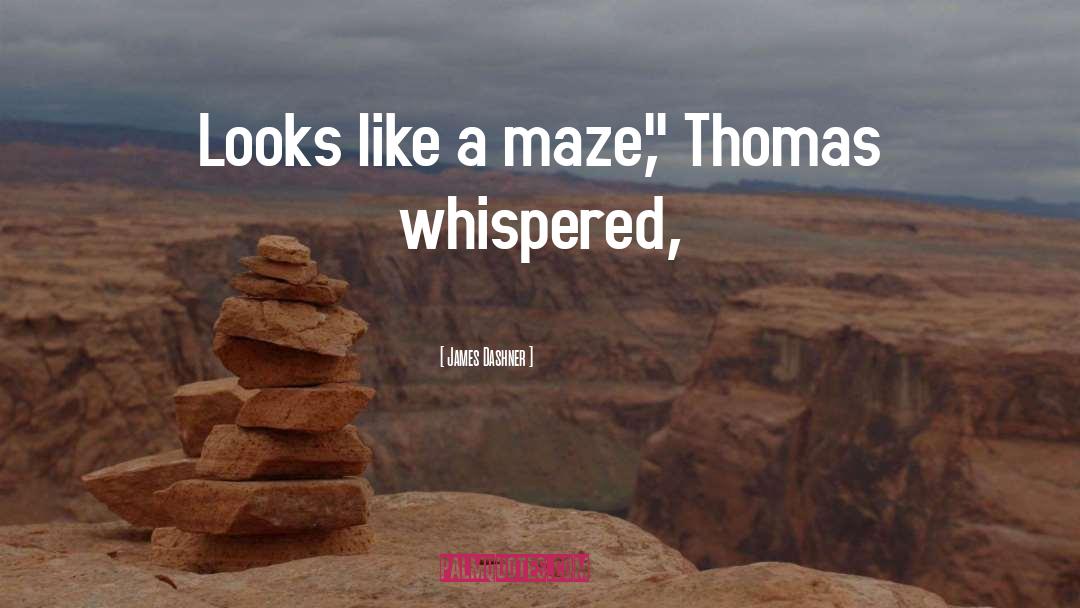 Maze quotes by James Dashner