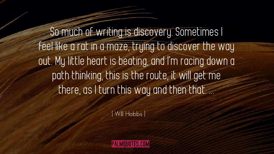 Maze quotes by Will Hobbs