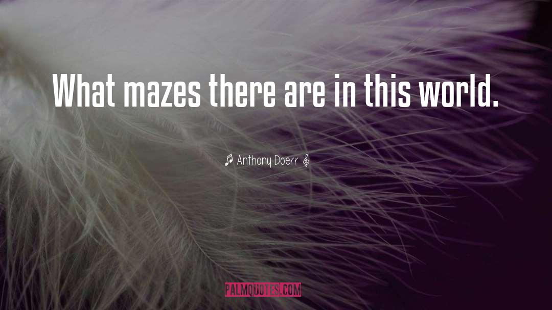 Mazes quotes by Anthony Doerr