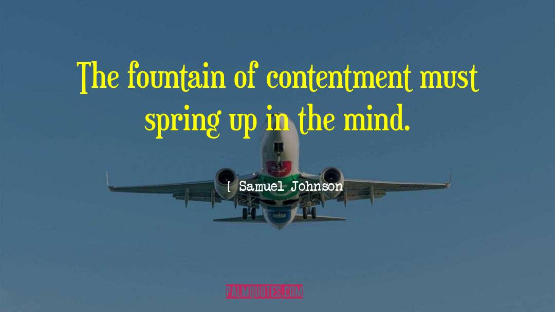 Mazzarelli Fountain quotes by Samuel Johnson