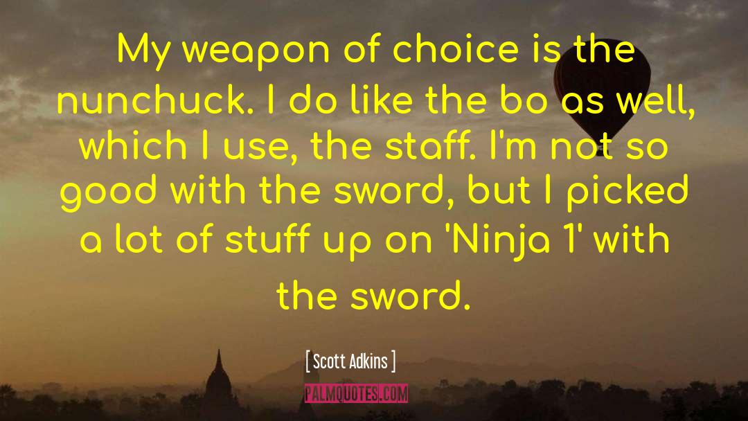 Mc Lilley Sword quotes by Scott Adkins
