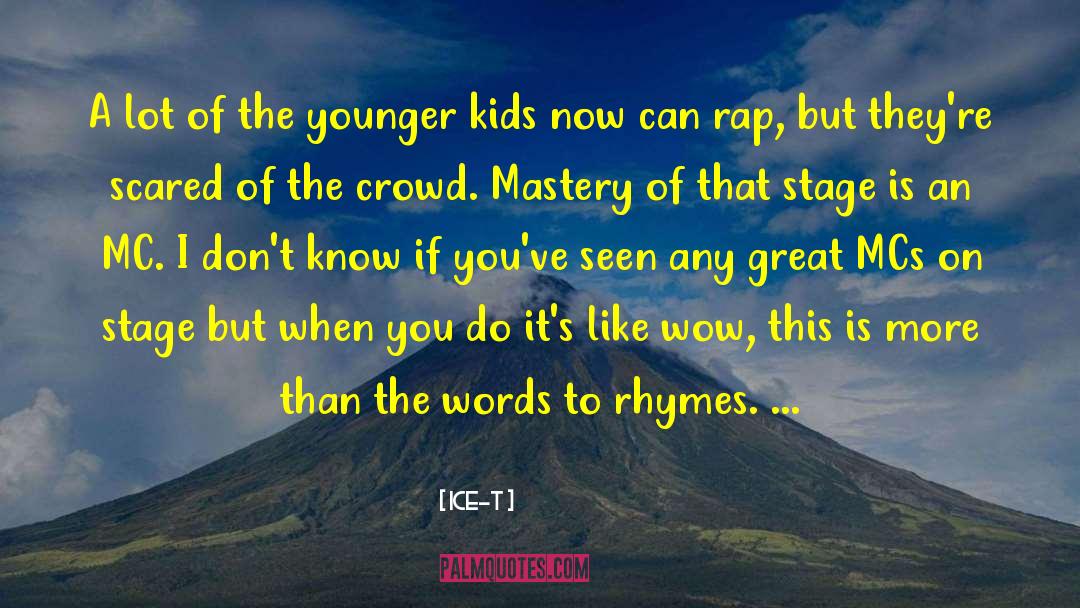 Mc Romance quotes by Ice-T