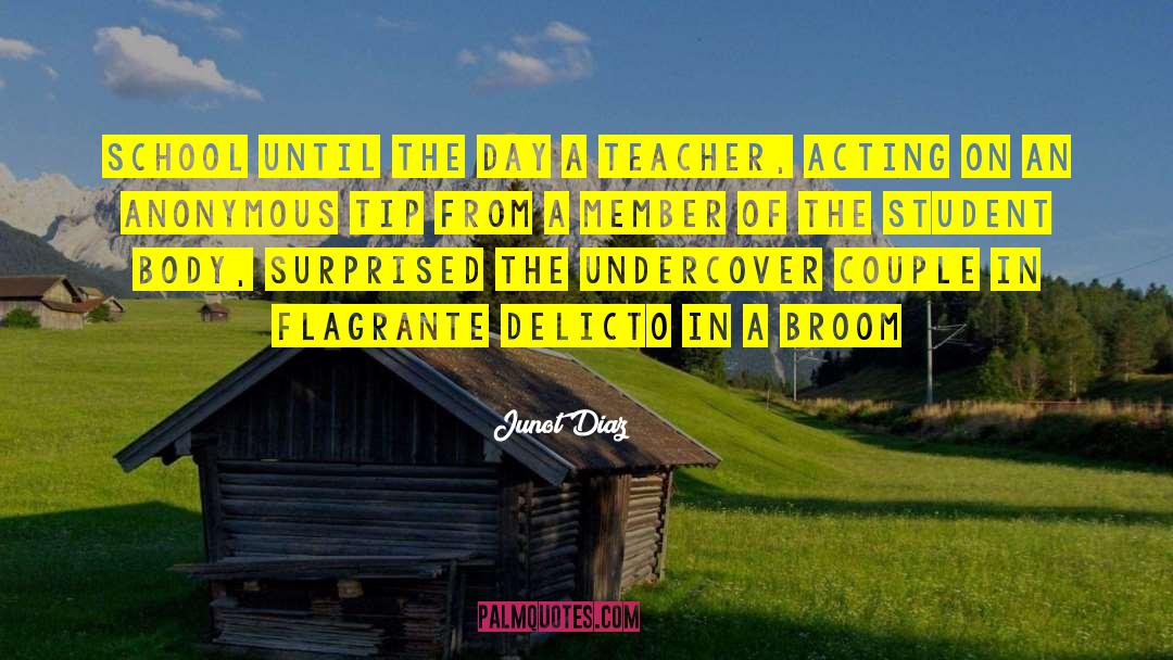 Mccarrie School quotes by Junot Diaz