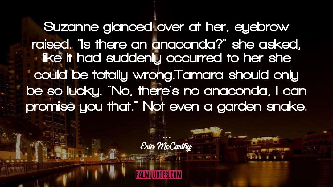 Mccarthy quotes by Erin McCarthy