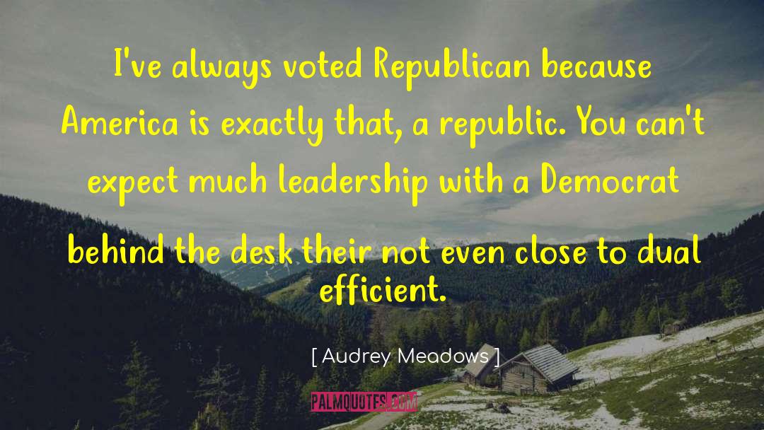Mccobb Desk quotes by Audrey Meadows