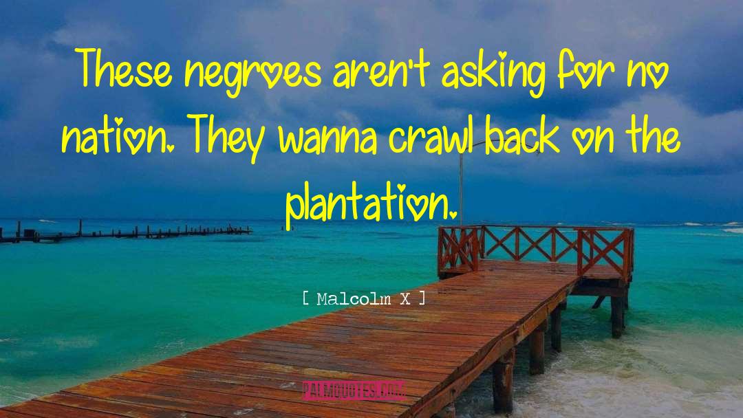 Mccullars Plantation quotes by Malcolm X