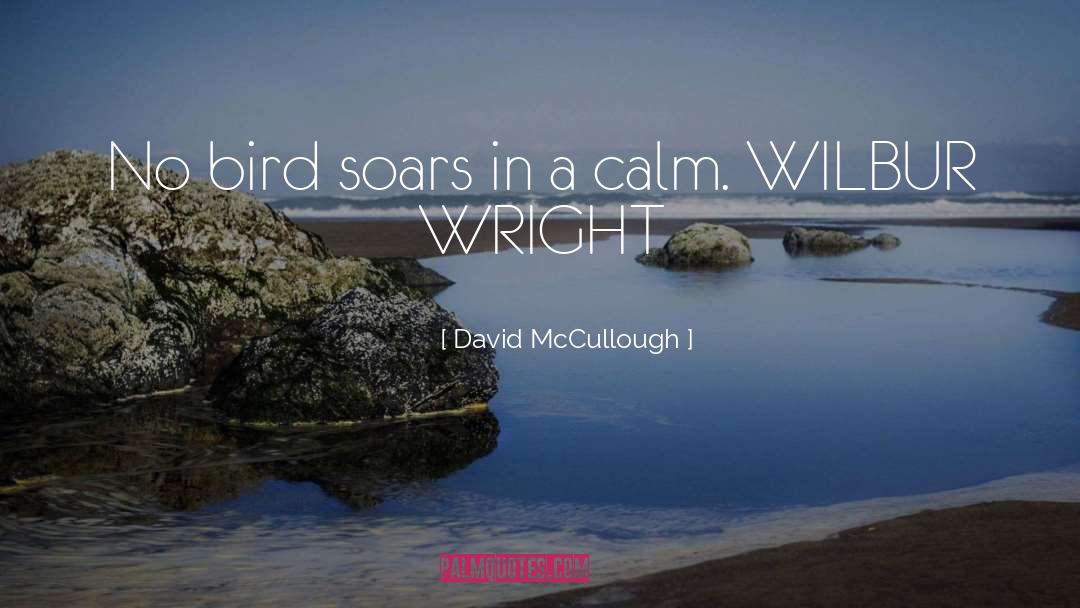 Mccullough quotes by David McCullough