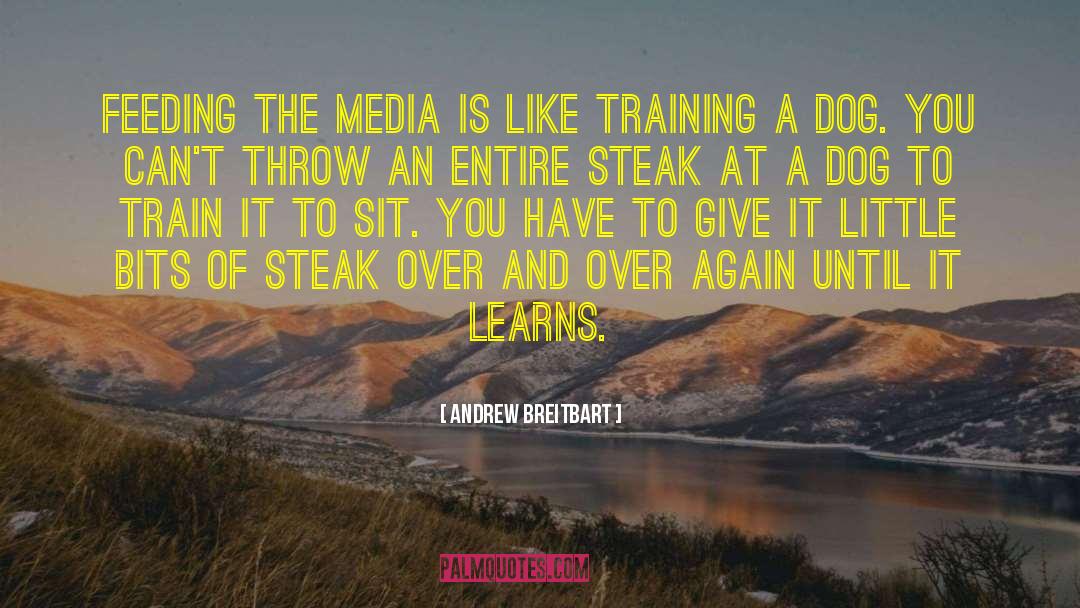 Mckendricks Steak quotes by Andrew Breitbart