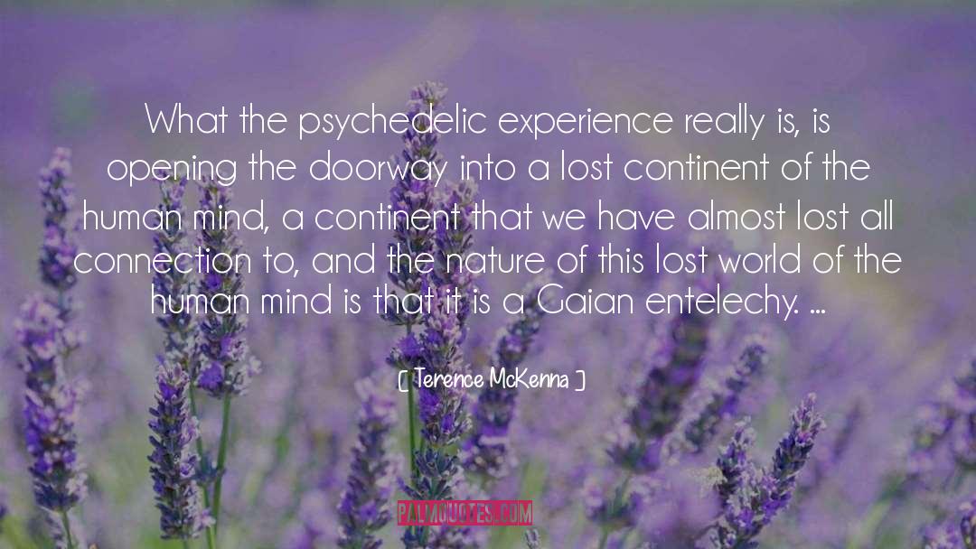 Mckenna quotes by Terence McKenna