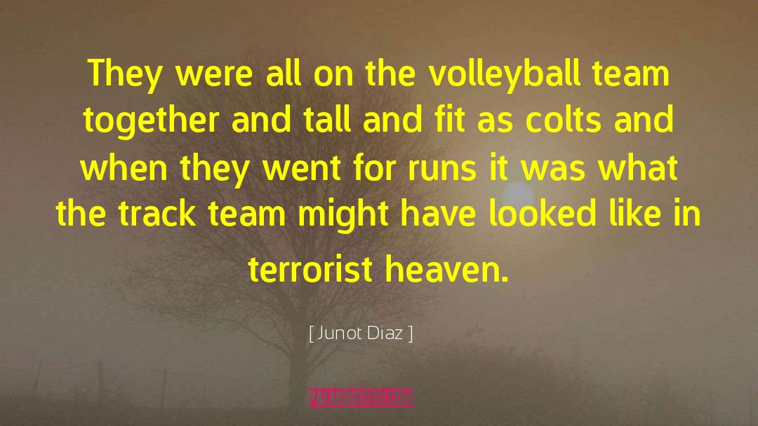 Mckibbin Volleyball quotes by Junot Diaz