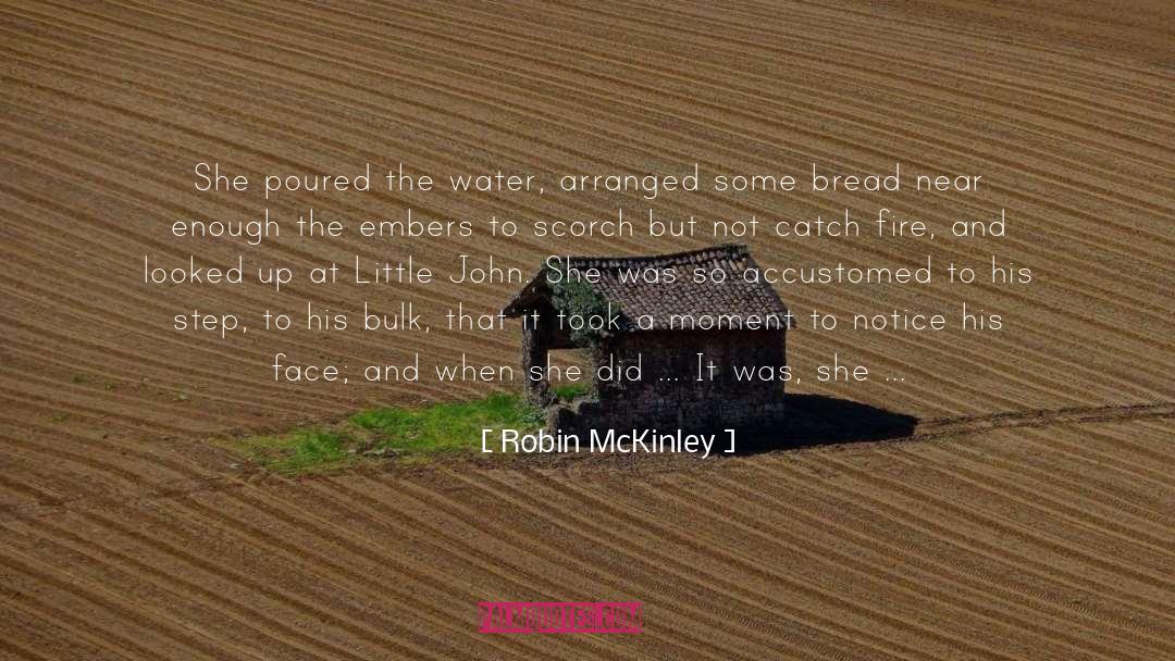 Mckinley quotes by Robin McKinley