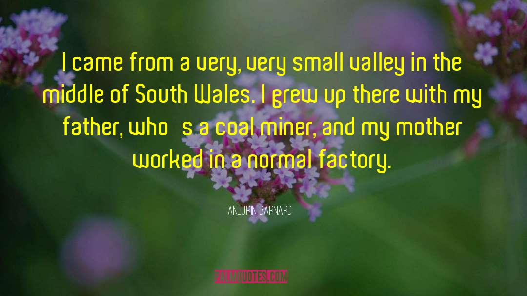 Mcleggan Valley quotes by Aneurin Barnard