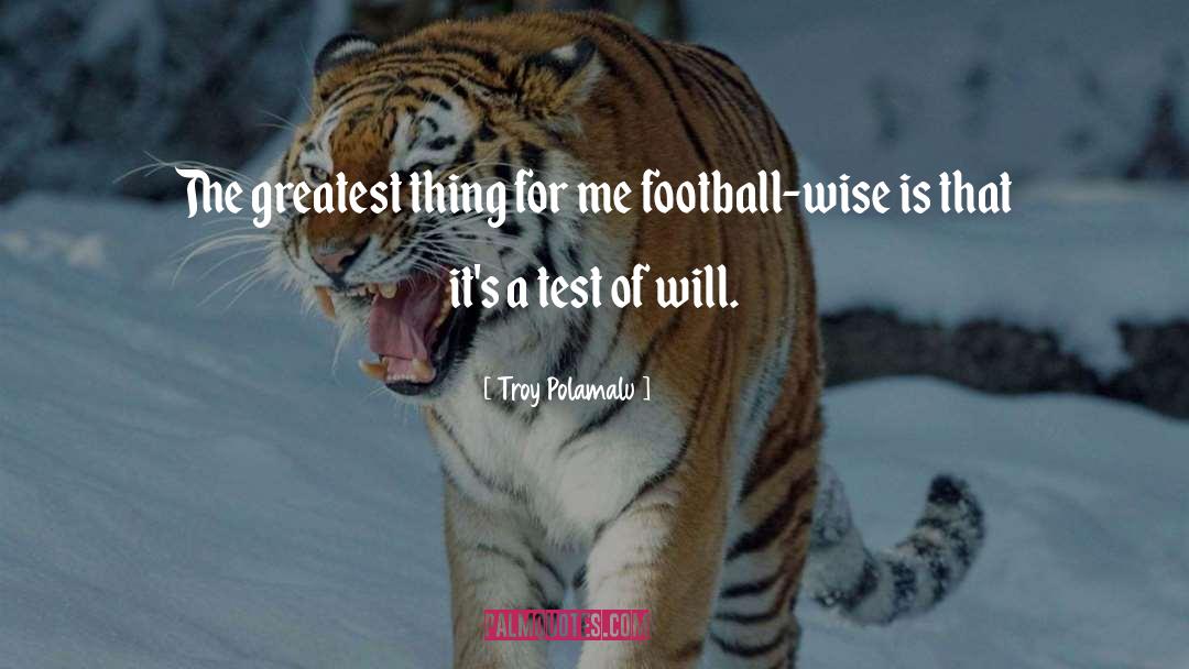 Mcmain Football quotes by Troy Polamalu