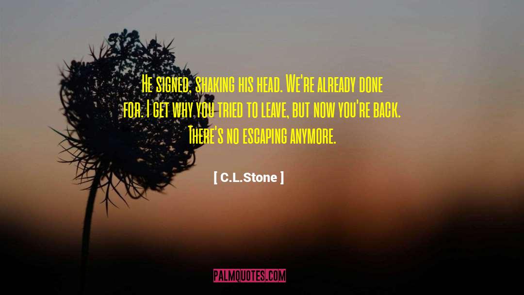 Mcmonagle Stone quotes by C.L.Stone