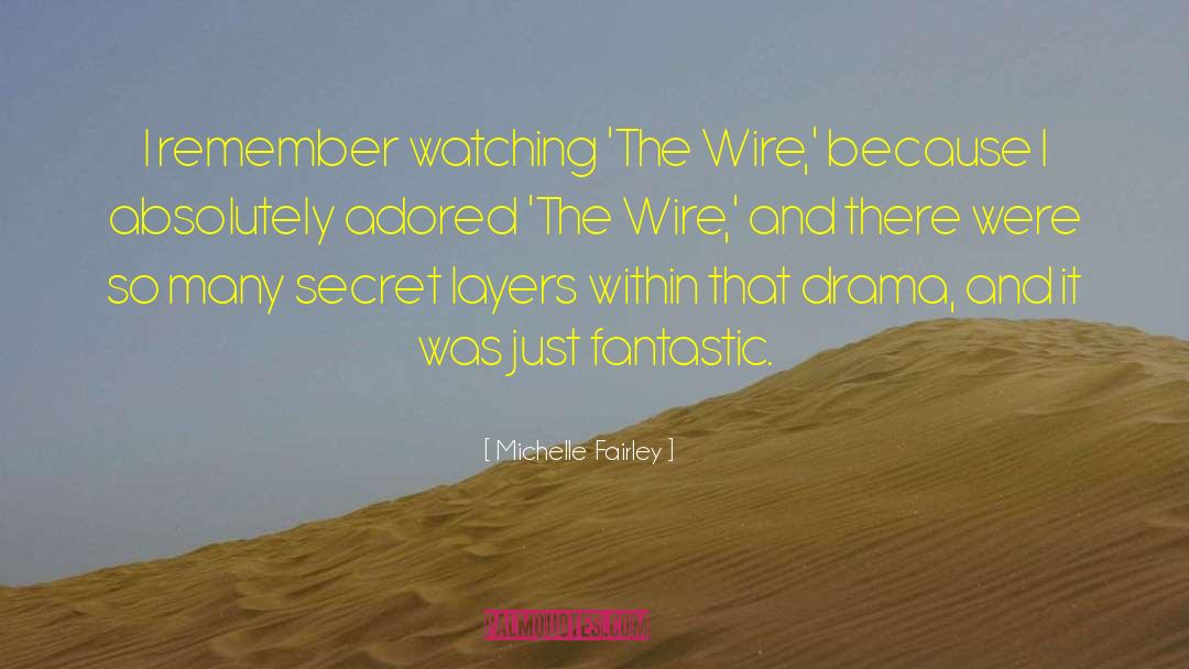 Mcnichols Wire quotes by Michelle Fairley