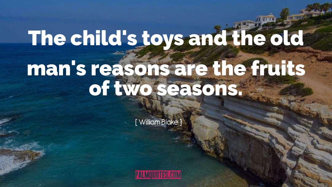 Mcnugget Toys quotes by William Blake