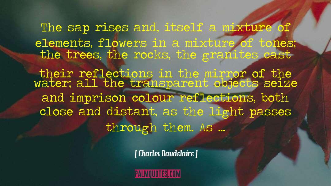 Mcqueens Flowers quotes by Charles Baudelaire