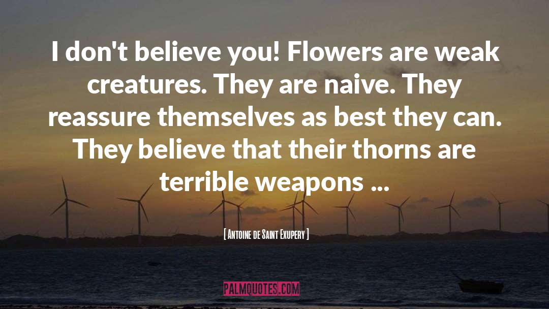 Mcqueens Flowers quotes by Antoine De Saint Exupery