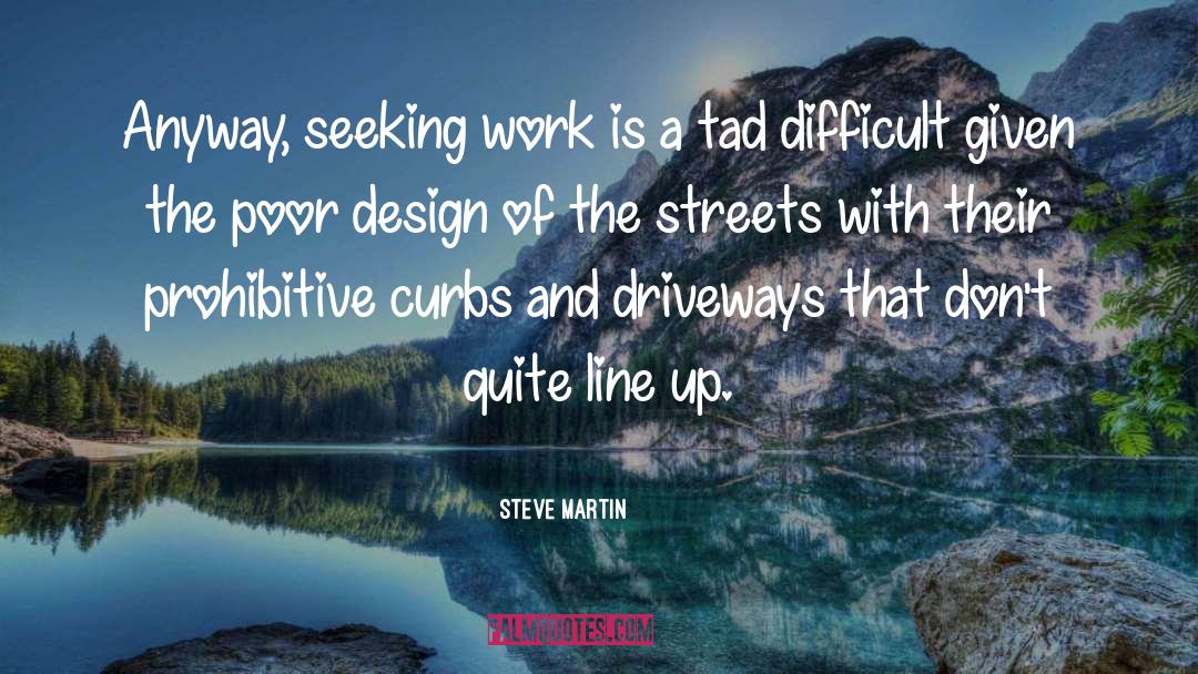 Mcritchie Design quotes by Steve Martin
