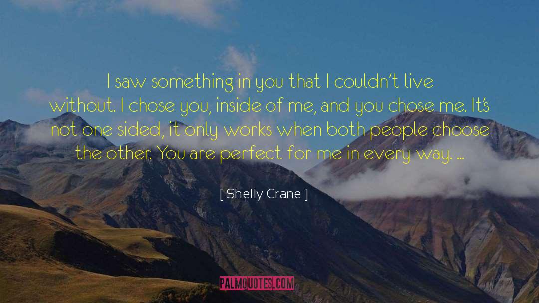 Me And You quotes by Shelly Crane