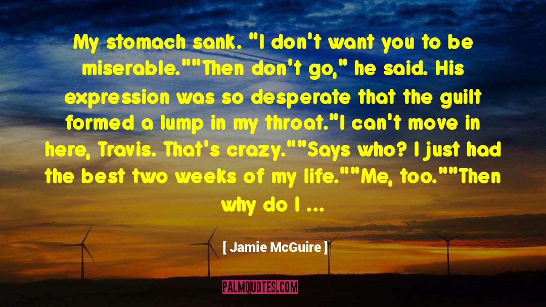 Me Too Movement quotes by Jamie McGuire