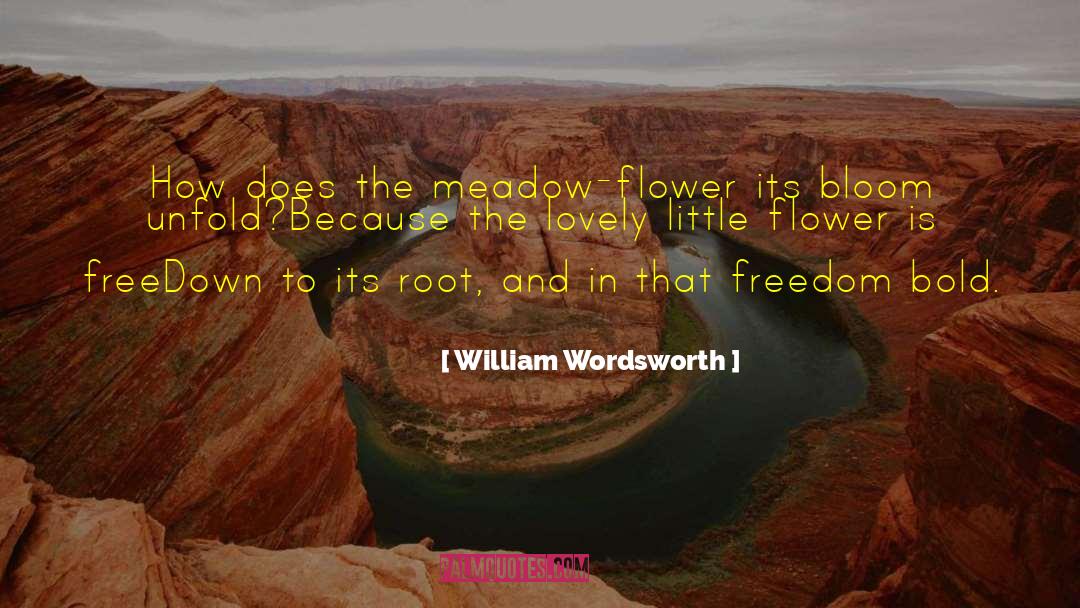 Meadow quotes by William Wordsworth