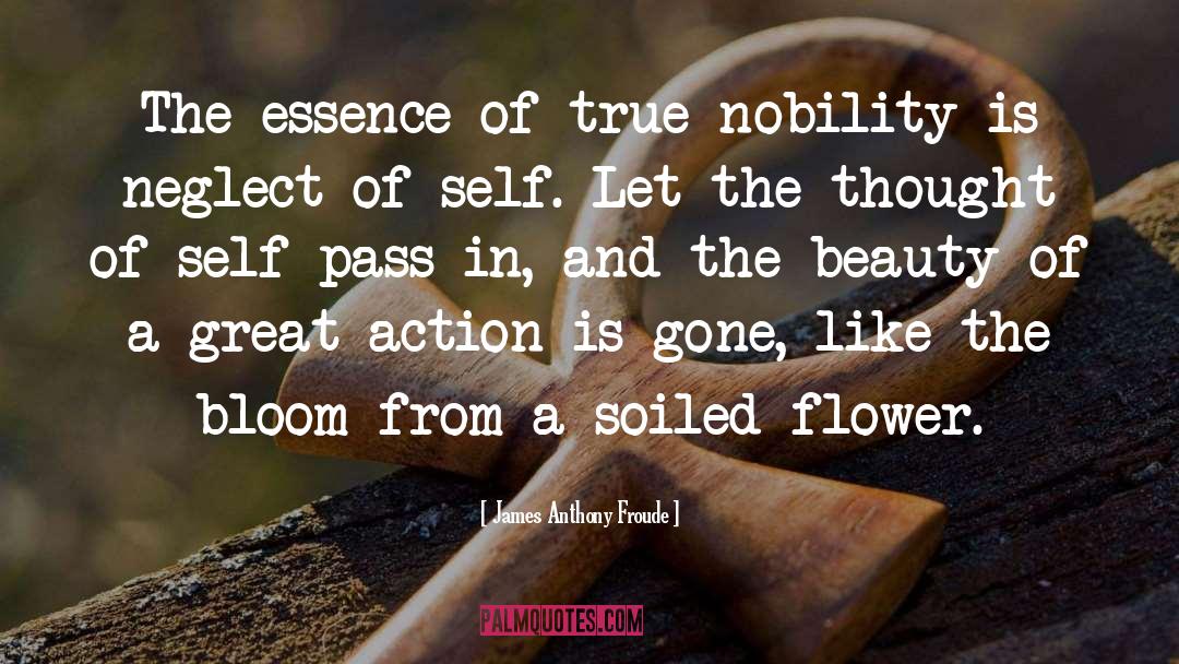 Meadowfoam Flower quotes by James Anthony Froude