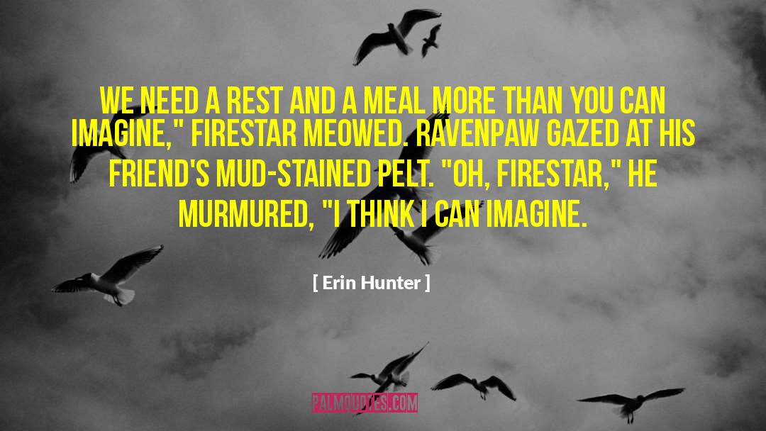 Meal Envy quotes by Erin Hunter