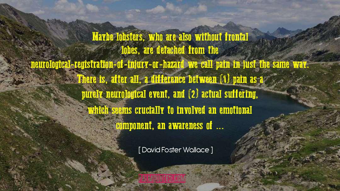 Mean Fear Emotional Pain quotes by David Foster Wallace
