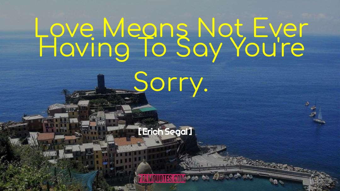 Mean Love quotes by Erich Segal