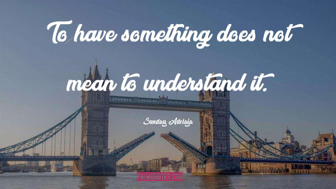 Mean Something quotes by Sunday Adelaja