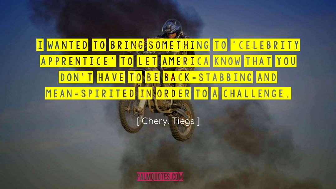 Mean Spirited quotes by Cheryl Tiegs