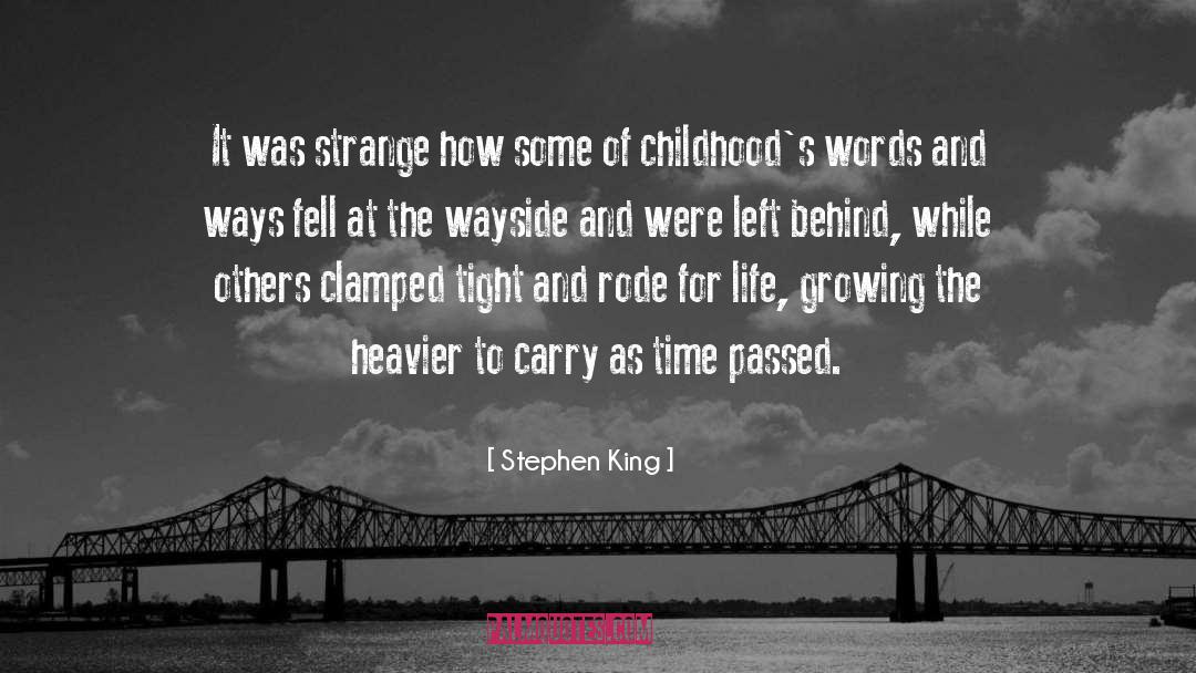 Mean Words quotes by Stephen King