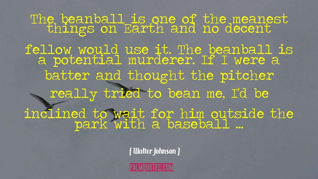 Meanest quotes by Walter Johnson