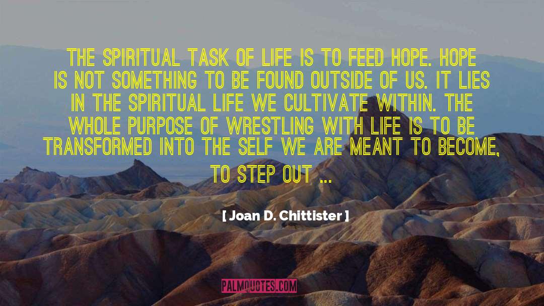 Meaning And Purpose In Life quotes by Joan D. Chittister