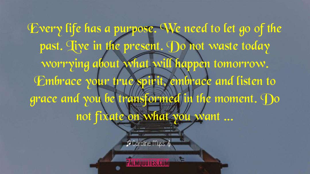 Meaning And Purpose In Life quotes by Caroline Myss