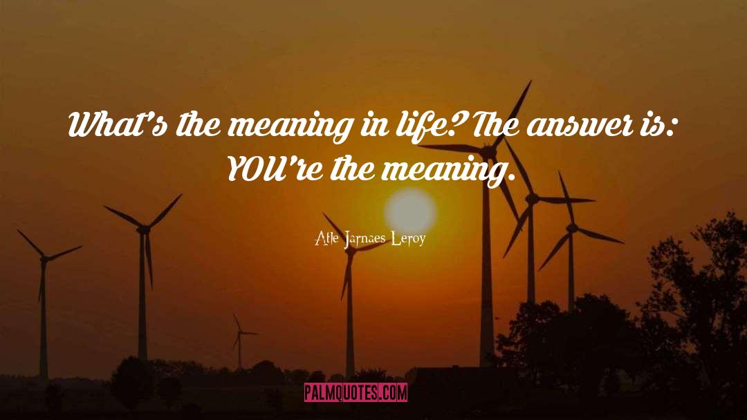 Meaning In Life quotes by Atle Jarnaes Leroy