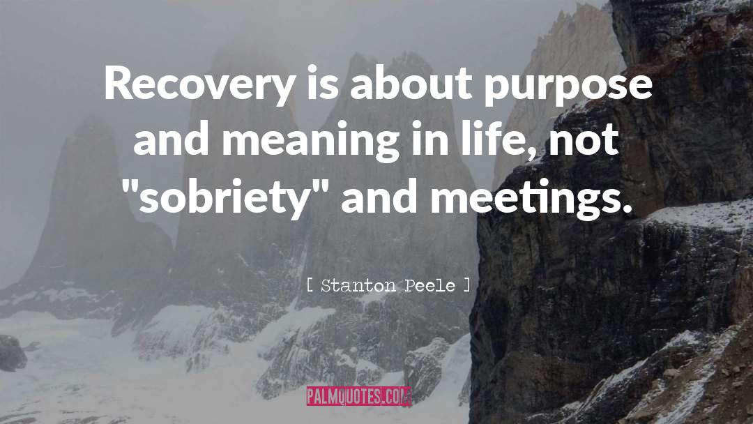 Meaning In Life quotes by Stanton Peele