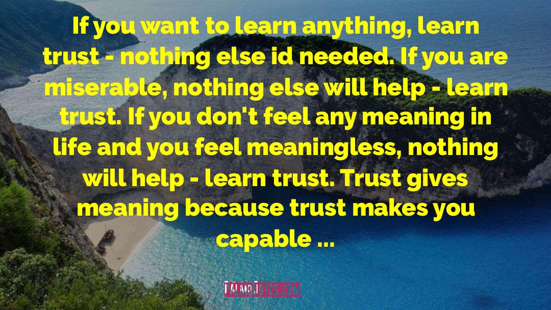 Meaning In Life quotes by Osho