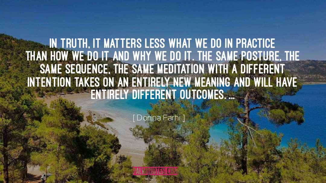 Meaning In Literature quotes by Donna Farhi