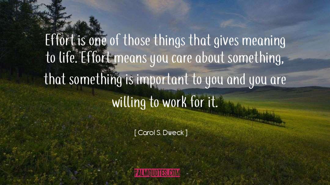 Meaning Life quotes by Carol S. Dweck