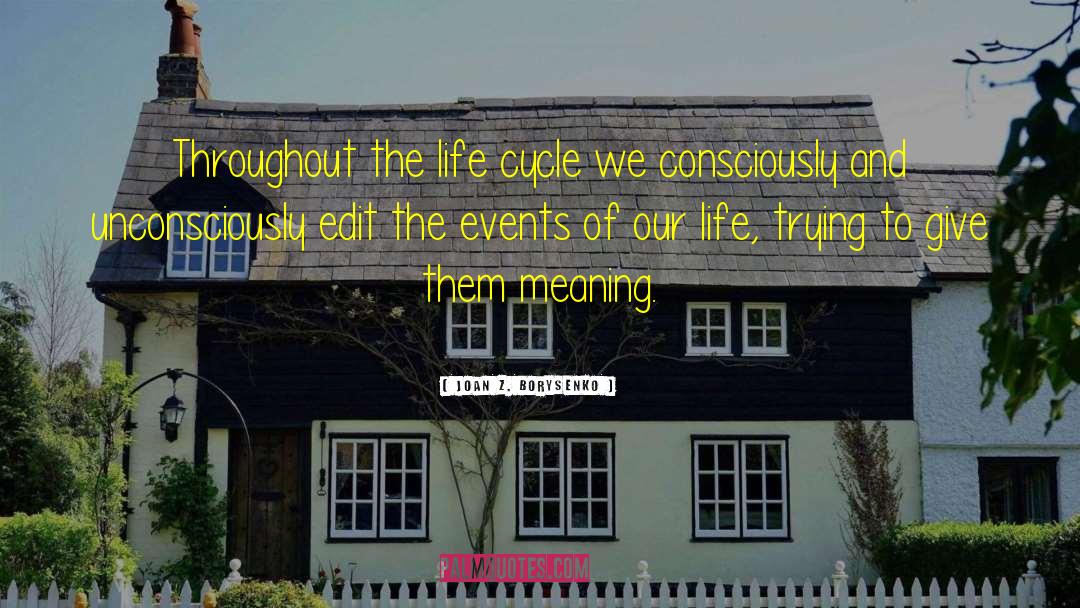 Meaning Life quotes by Joan Z. Borysenko
