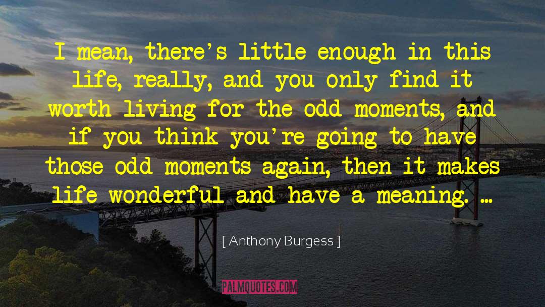 Meaning Life quotes by Anthony Burgess