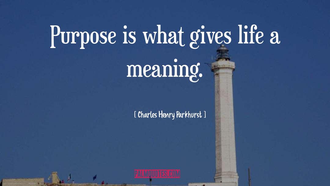 Meaning Life quotes by Charles Henry Parkhurst