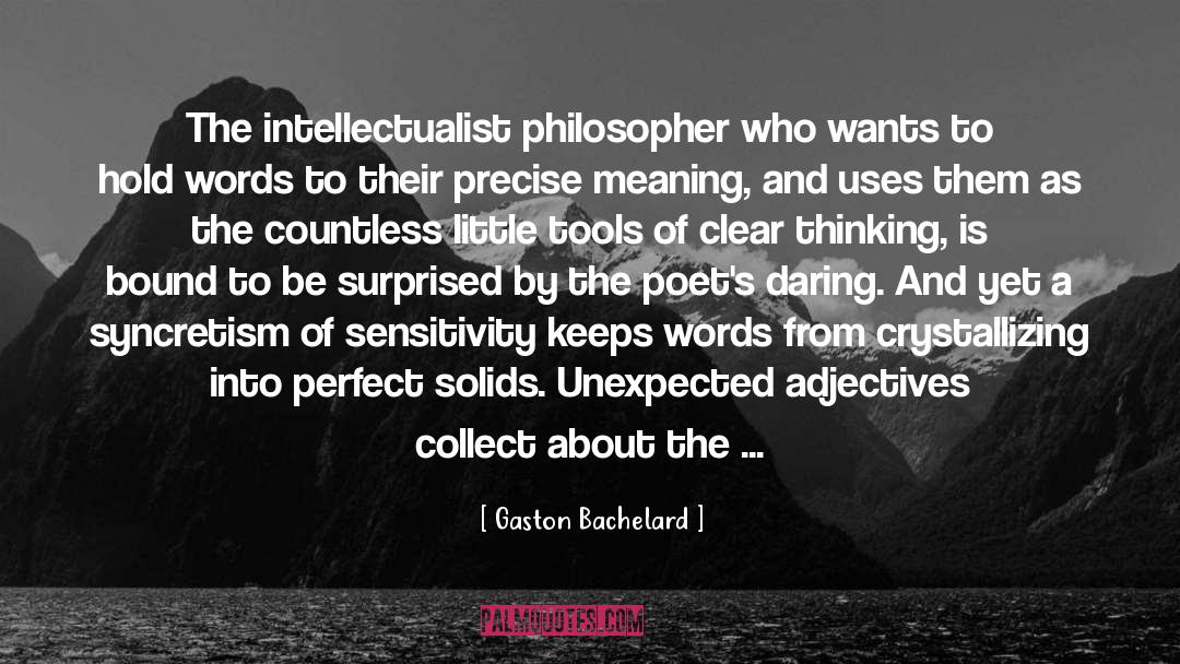 Meaning Nothing quotes by Gaston Bachelard