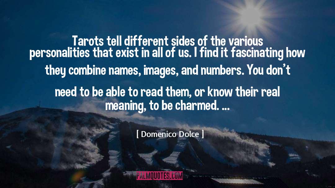 Meaning Of Art quotes by Domenico Dolce