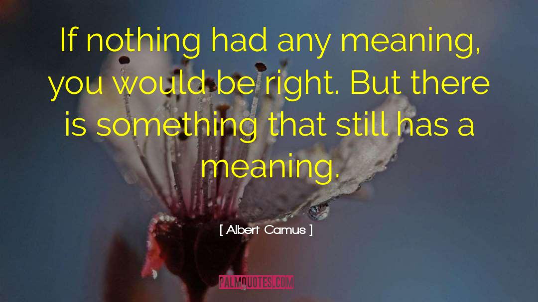 Meaning Of Bliss quotes by Albert Camus