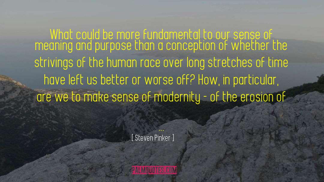 Meaning Of Books quotes by Steven Pinker